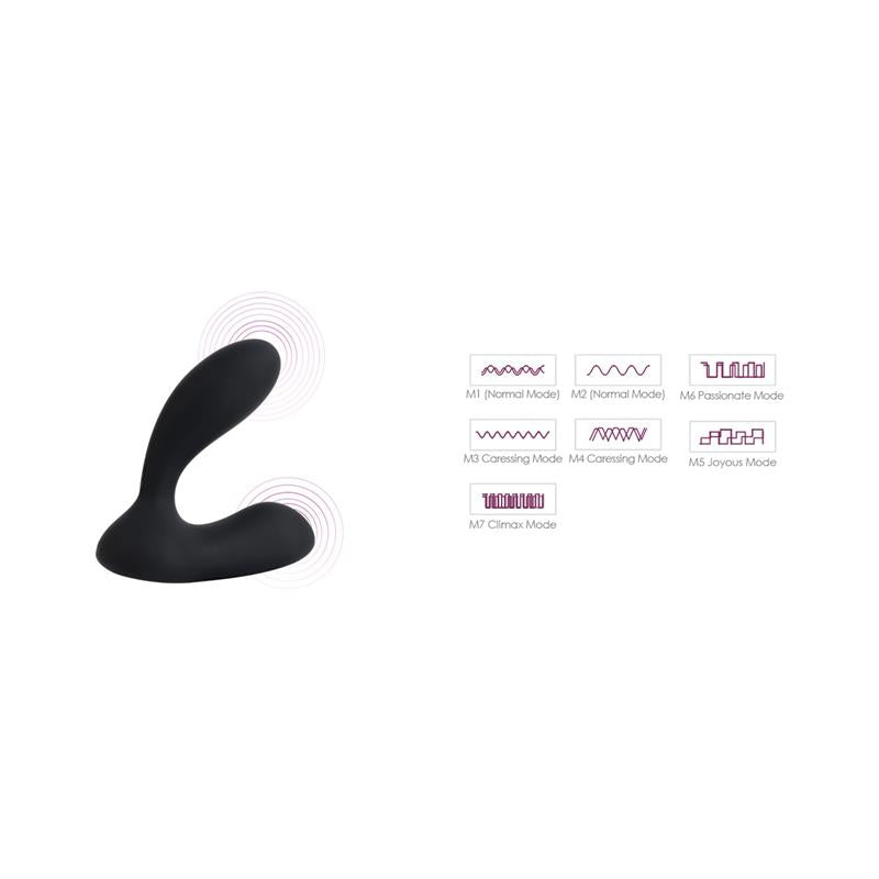Vick Butt Plug G spot and Prostate Remote Controlled